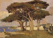 Arthur Mathews Monterey Cypress oil painting